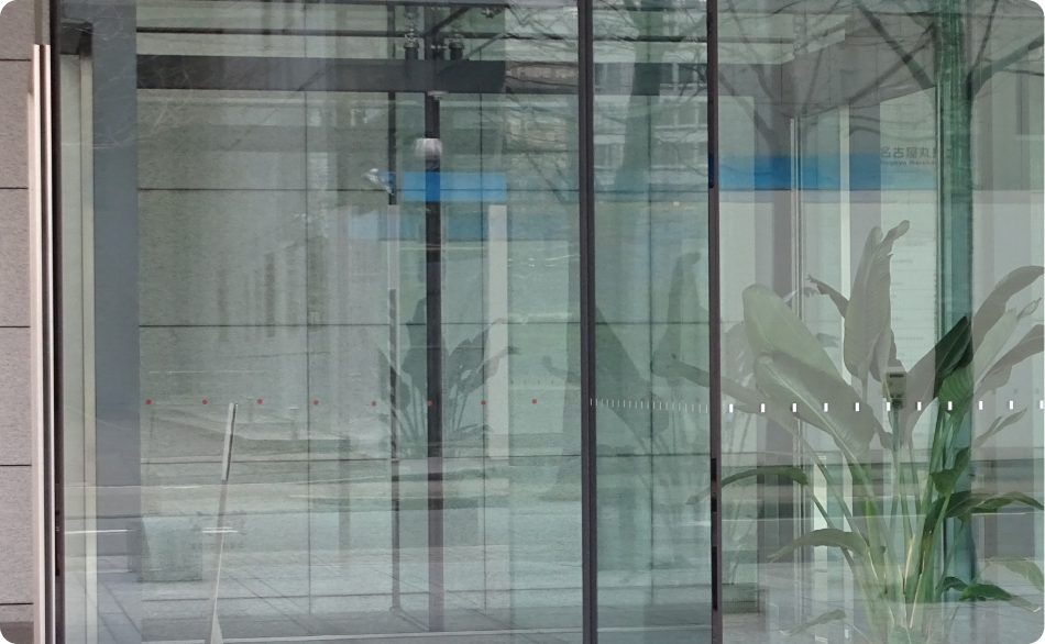 モダンなオフィスビル内のガラス張りの壁、反射する植物と青いラインが特徴